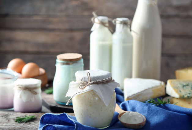 dairy products